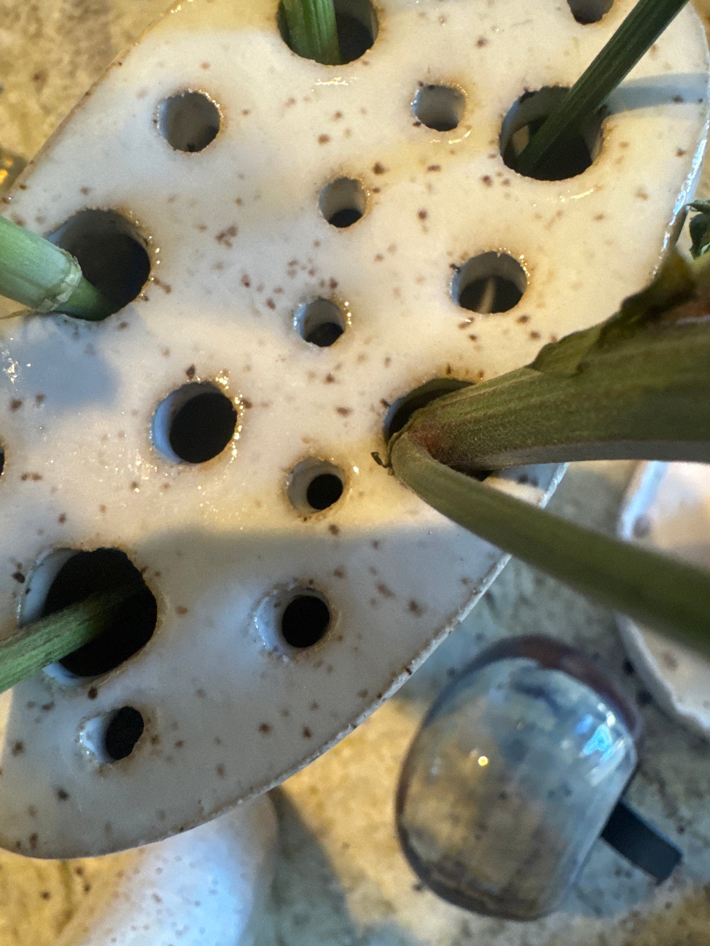 Handmade Ceramic Flower Frog Vase | Speckled Stoneware | Built-In Stem Support Grid